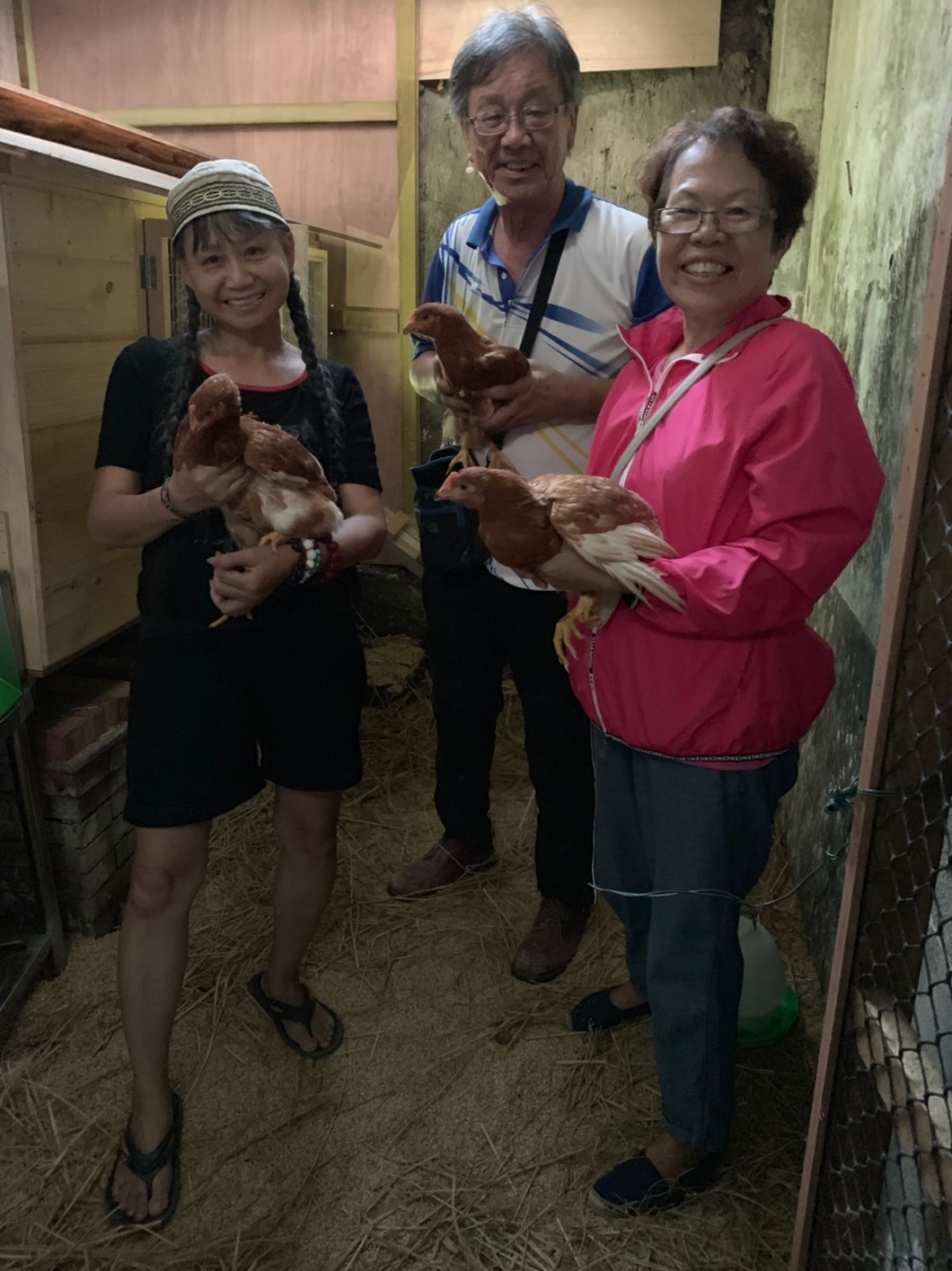 圖說：靜宜大學生態系導入療癒雞於武鹿社區，長輩與療癒雞開心合照。
（放置位置：第五段第三行之生態系導入療癒雞舍）