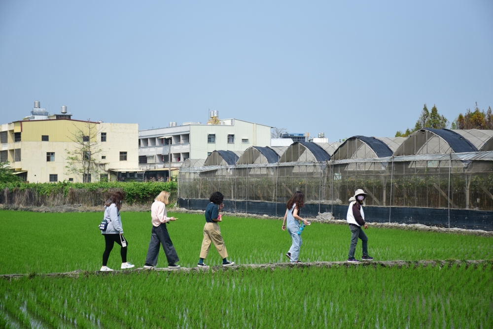 太神奇了！原來巨峰葡萄藤農廢可以這樣再利用！