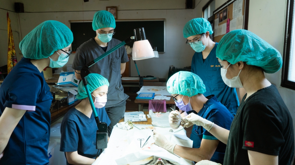 偏區絕育絕育跨足中南部，
分別是台中、南投、彰化、雲林、嘉義。