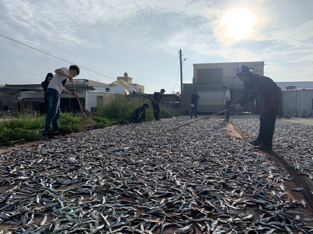 曝曬臭肉魚干
(擺在第三大段探索擺在第三大段澎湖嵵裡里漁工新村曬魚趣那邊)
