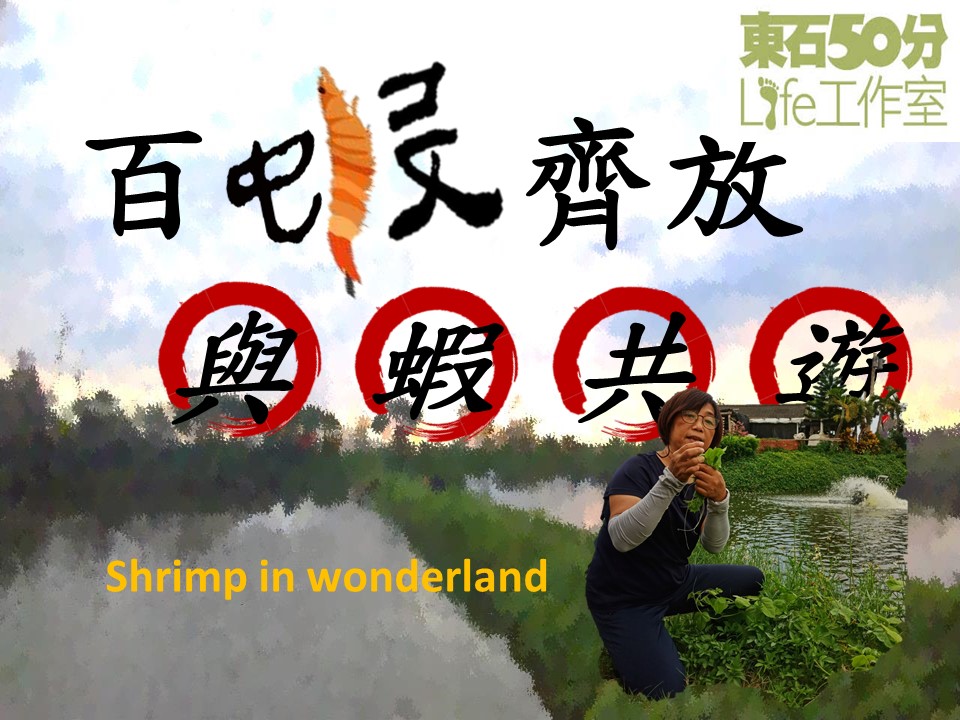 百蝦齊放・與蝦共遊
人物主角：50分Life工作室　吳淑芳